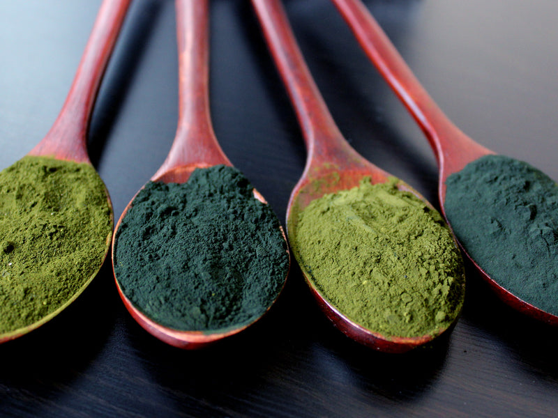 Chlorella ir spirulina milteliai