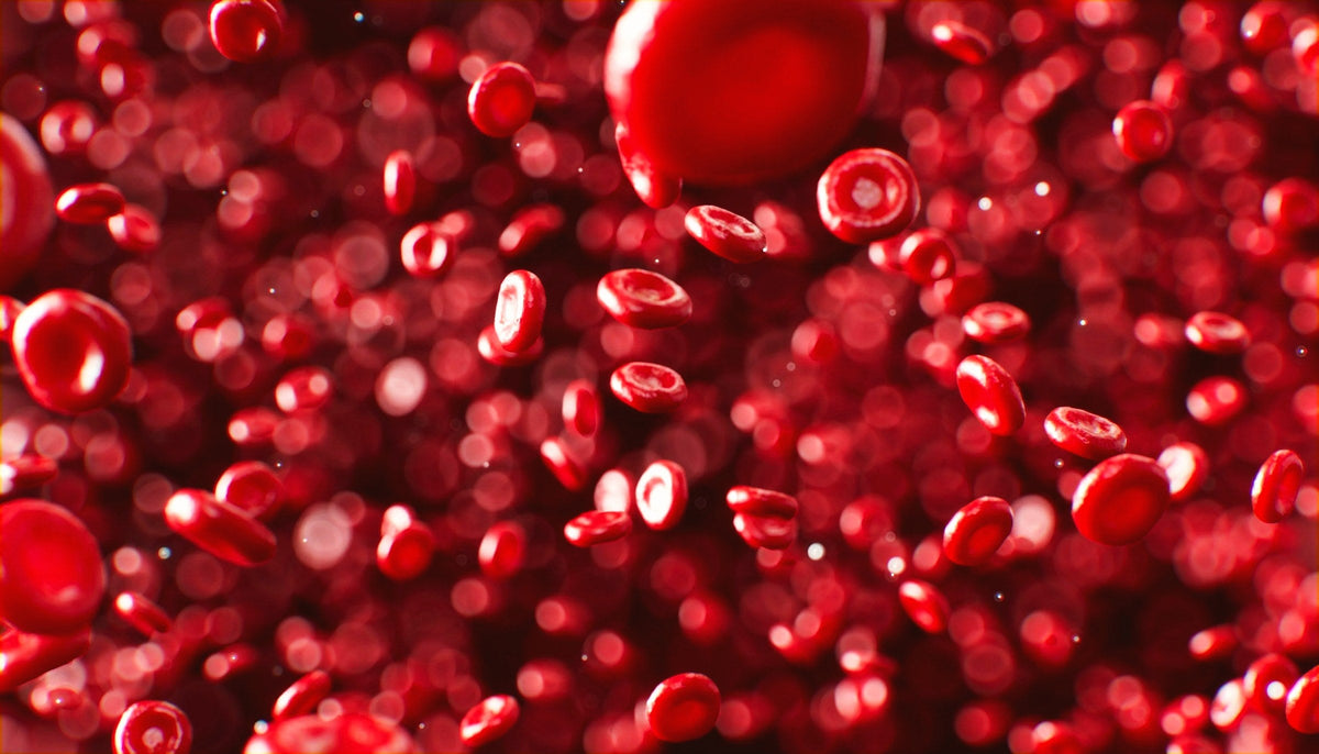 Cholesterolis ir mityba – kas iš tiesų veikia?