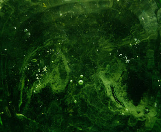 Spirulina mikrodumbliai