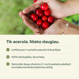 Acerolos vaisiai delnuose