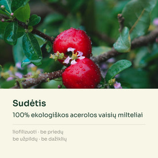 Acerolos milteliai – sudėtis: 100% ekologiškos acerolos vaisių milteliai