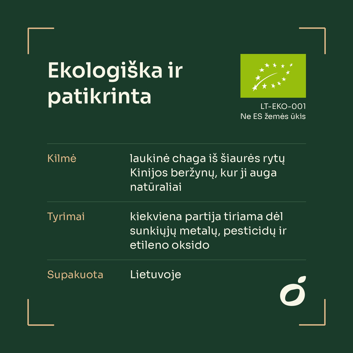 Laukinė chaga iš šiaurės rytų Kinijos beržynų, ES ekologinis sertifikatas LT-EKO-001, supakuota Lietuvoje