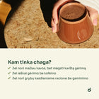 Stiklinė chagos gėrimo rankose – kam tinka chaga