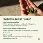 Chlorellos tabletės delne – kurį mikrodumblį rinktis: spirulina, chlorella ar mišinys