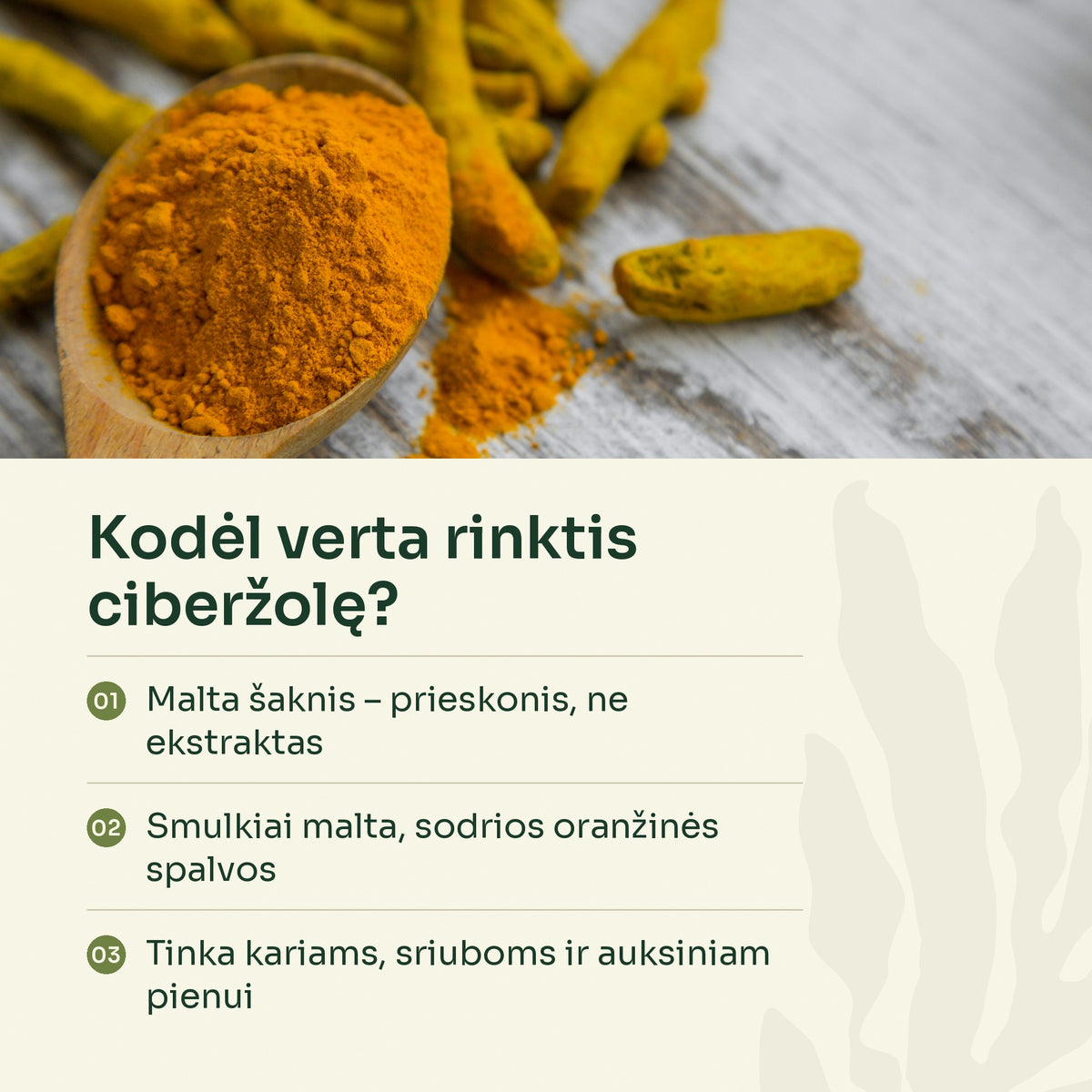 Ciberžolės šaknys ir milteliai mediniame šaukšte – kodėl verta rinktis ciberžolę