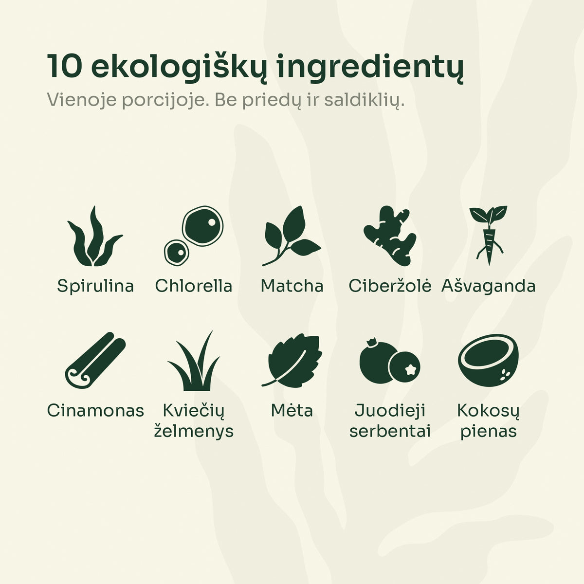 10 ekologiškų Green MIX ingredientų: spirulina, chlorella, matcha, ciberžolė, ašvaganda ir kiti