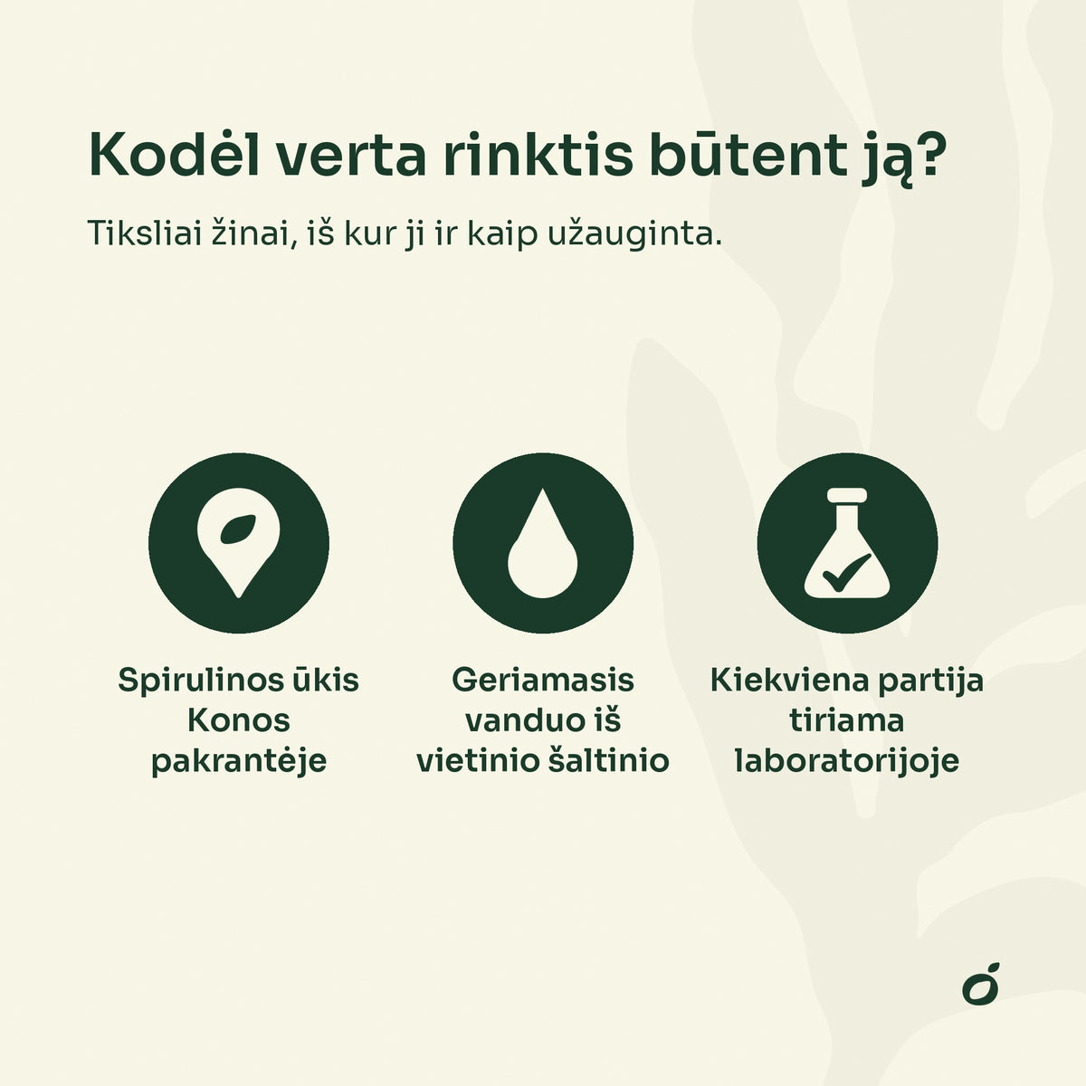 Kodėl verta rinktis Havajų spiruliną: spirulinos ūkis Konos pakrantėje, geriamasis vanduo, laboratoriniai tyrimai