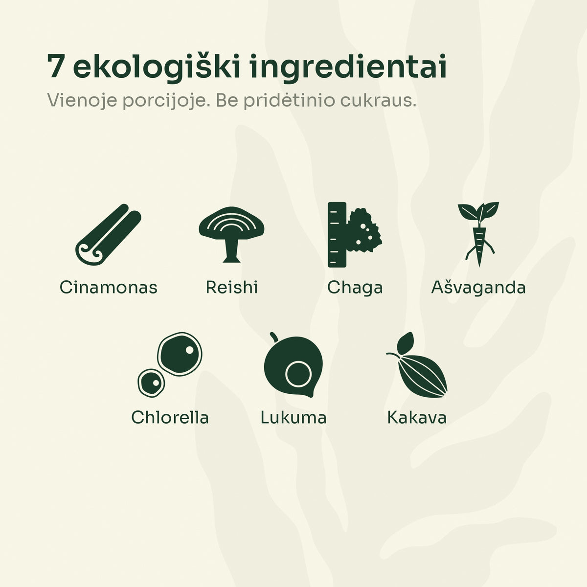 7 ekologiški Immunity MIX ingredientai: cinamonas, reishi, chaga, ašvaganda, chlorella, lukuma, kakava