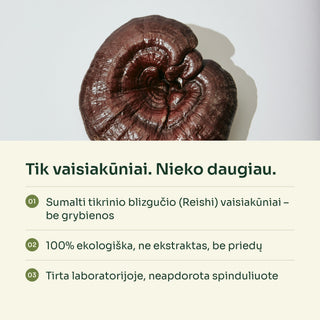 Reishi grybų milteliai, ekologiški (tikrinis blizgutis) – 100 g
