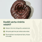 Džiovintas tikrinio blizgučio (reishi) grybas – kodėl verta rinktis reishi