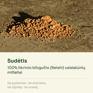 Reishi grybų milteliai, ekologiški (tikrinis blizgutis) – 100 g