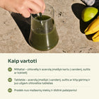 Maišomas žalias chlorellos gėrimas – kaip vartoti chlorellą ir acerolą