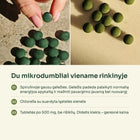 Spirulinos ir chlorellos tabletės – du mikrodumbliai viename rinkinyje
