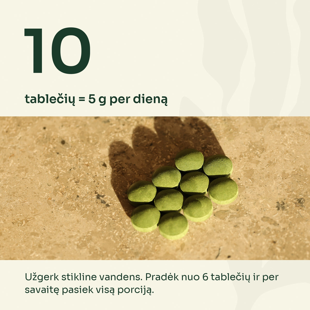 10 spirulinos ir chlorellos tablečių = 5 g per dieną