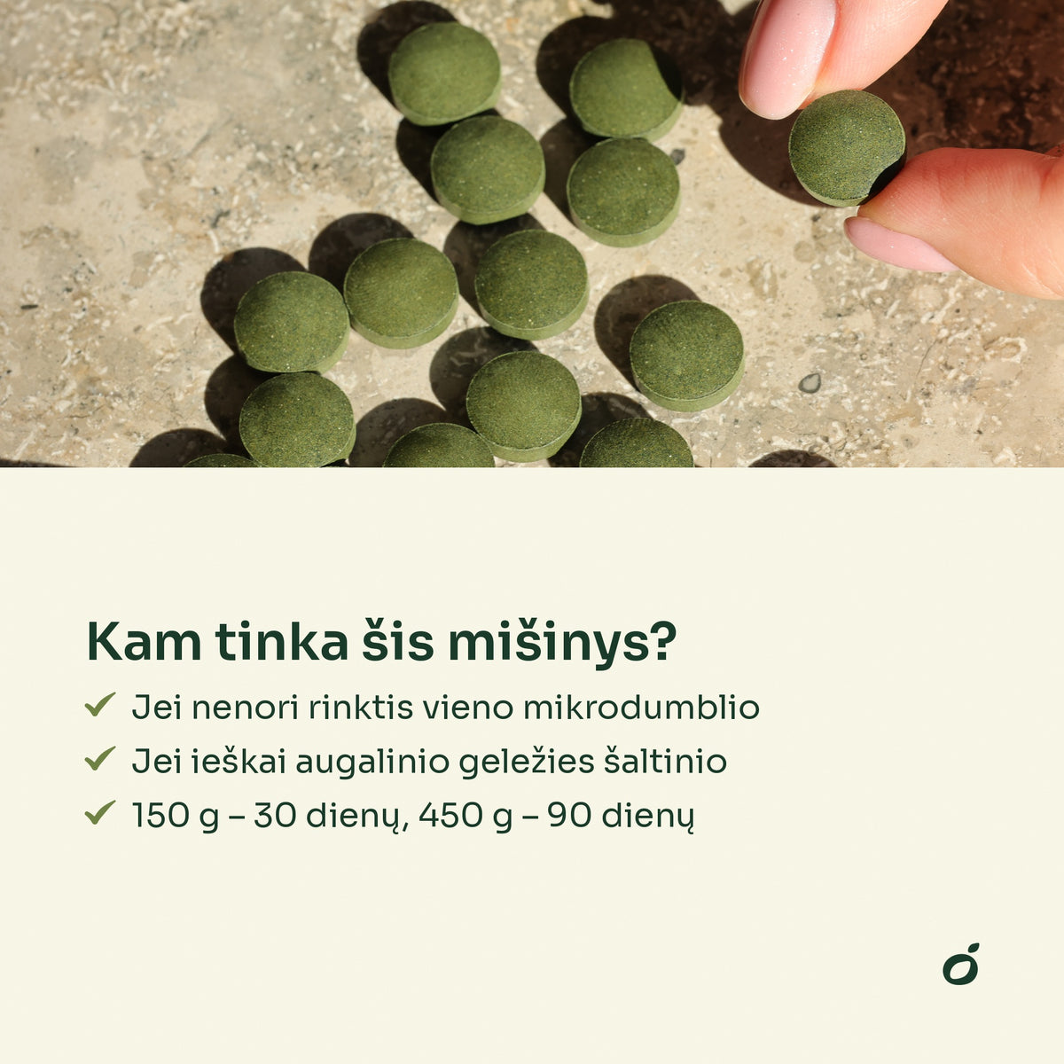 Spirulinos ir chlorellos tabletės tarp pirštų – kam tinka šis mišinys