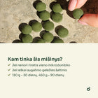 Spirulinos ir chlorellos tabletės tarp pirštų – kam tinka šis mišinys