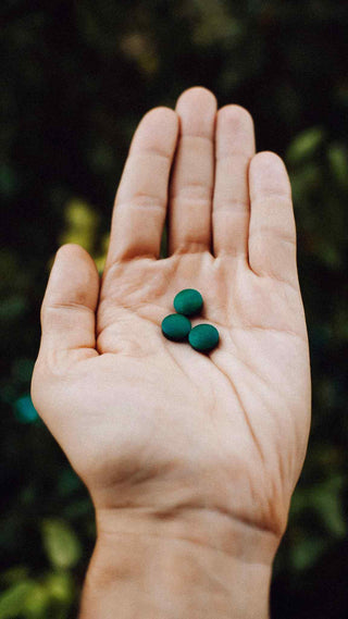 Spirulina tabletės rankoje